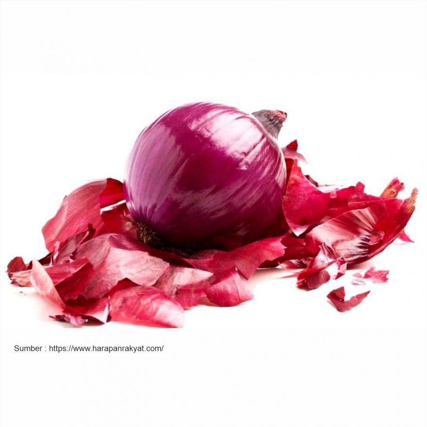 Cerdas,Ternyata Limbah Kulit Bawang Bisa Jadi Pestisida Alami